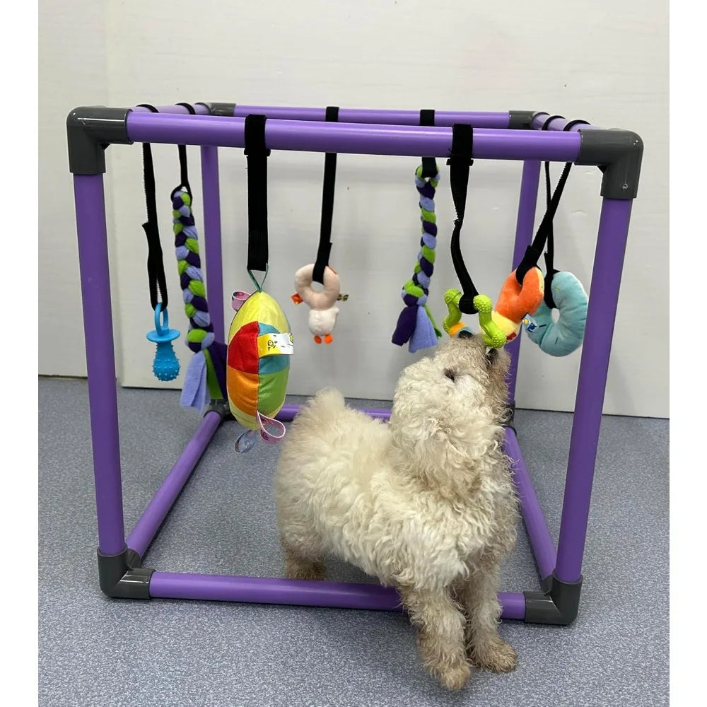 Hign-concerned Puppy Play Gym for Small Dogs with 8 Toys