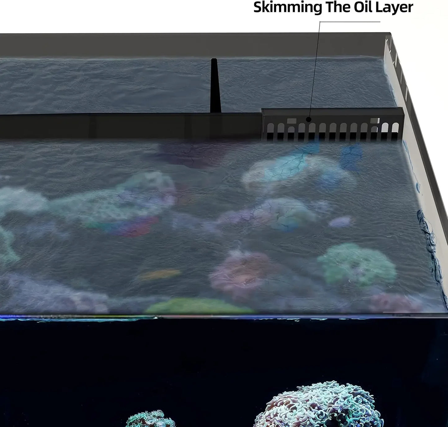 XMSJ Ultraclear Rimless LowIron Aquarium Tank Rear FiltrationModule System Premium