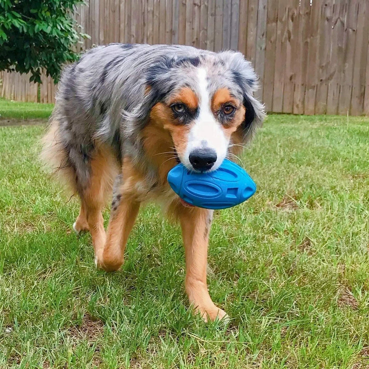 High-concerned Squeaky Tough Dog Chew Ball Indestructible Rubber Toy