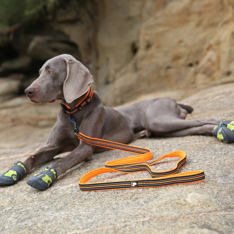 Winhyepet Padded Dog Leash 200cm Durable For All Dogs