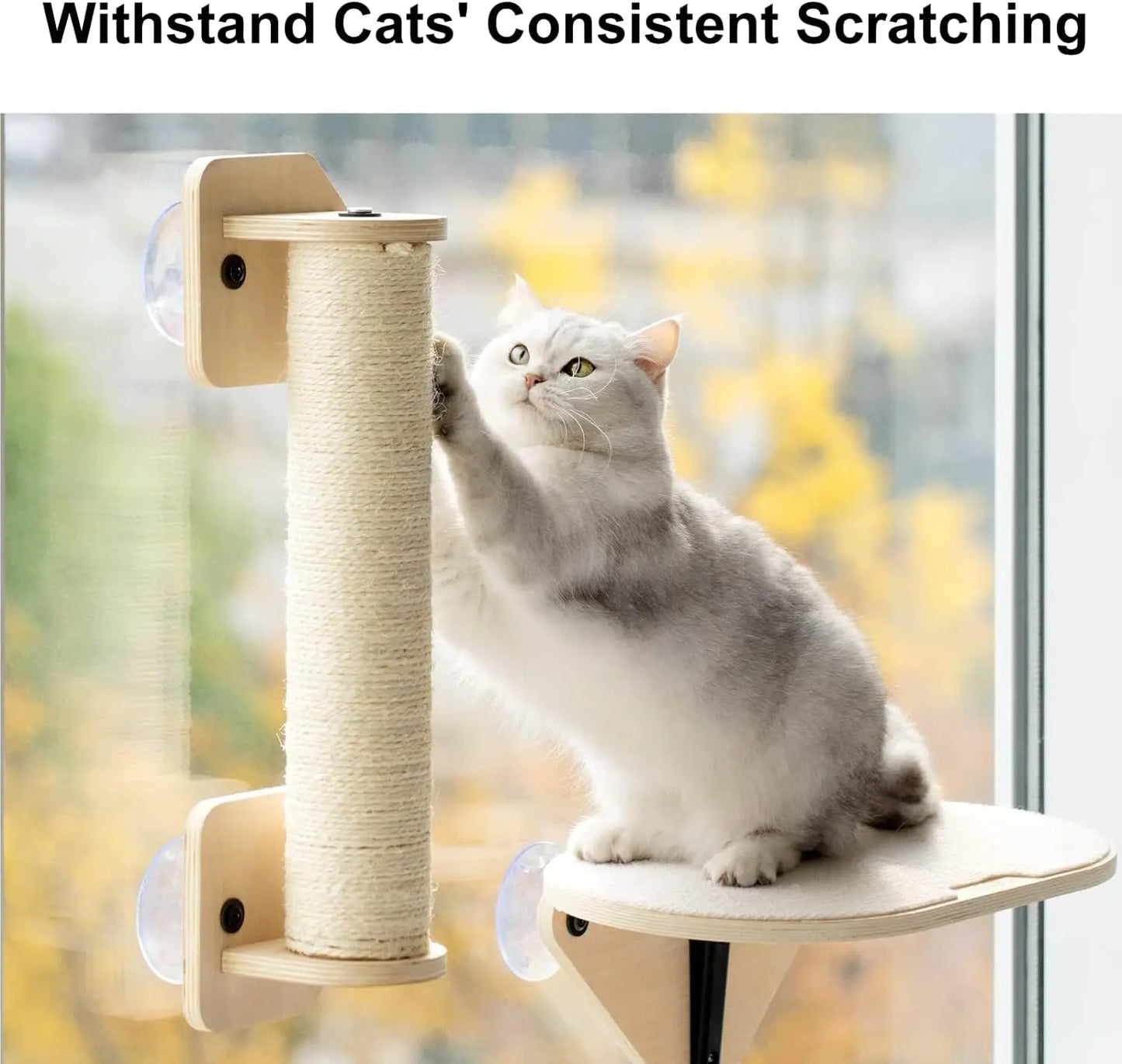 MEWOOFUNCN Cat Window Perch Hammock With Climbing Steps And Scratching Post