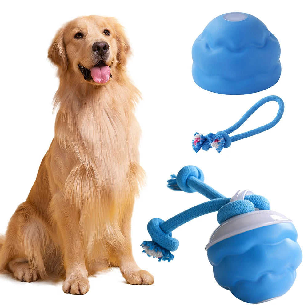 High Concerned Interactive Dog Ball Auto Bouncing USB Toy