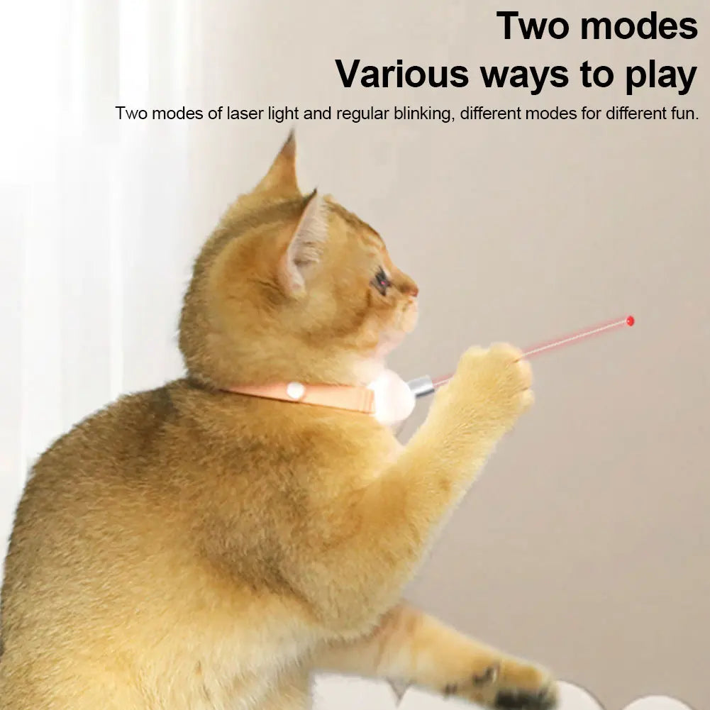 USB Rechargeable Interactive Kitten Collar for Indoor Cats