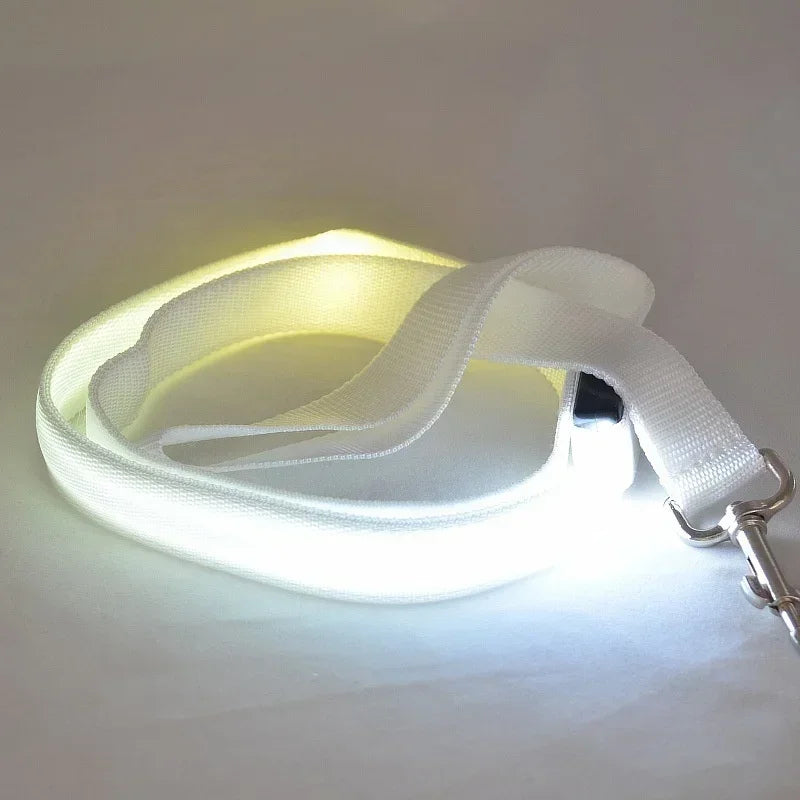 Luminous LED Dog Leash Harness for Safe Night Walks