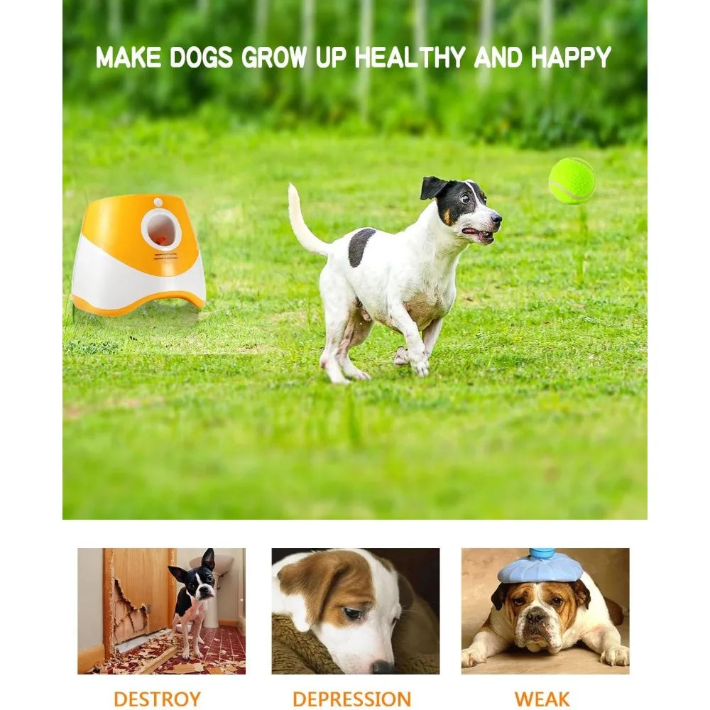 Dog Ball Launcher With 12 Tennis Balls For Endless Fun