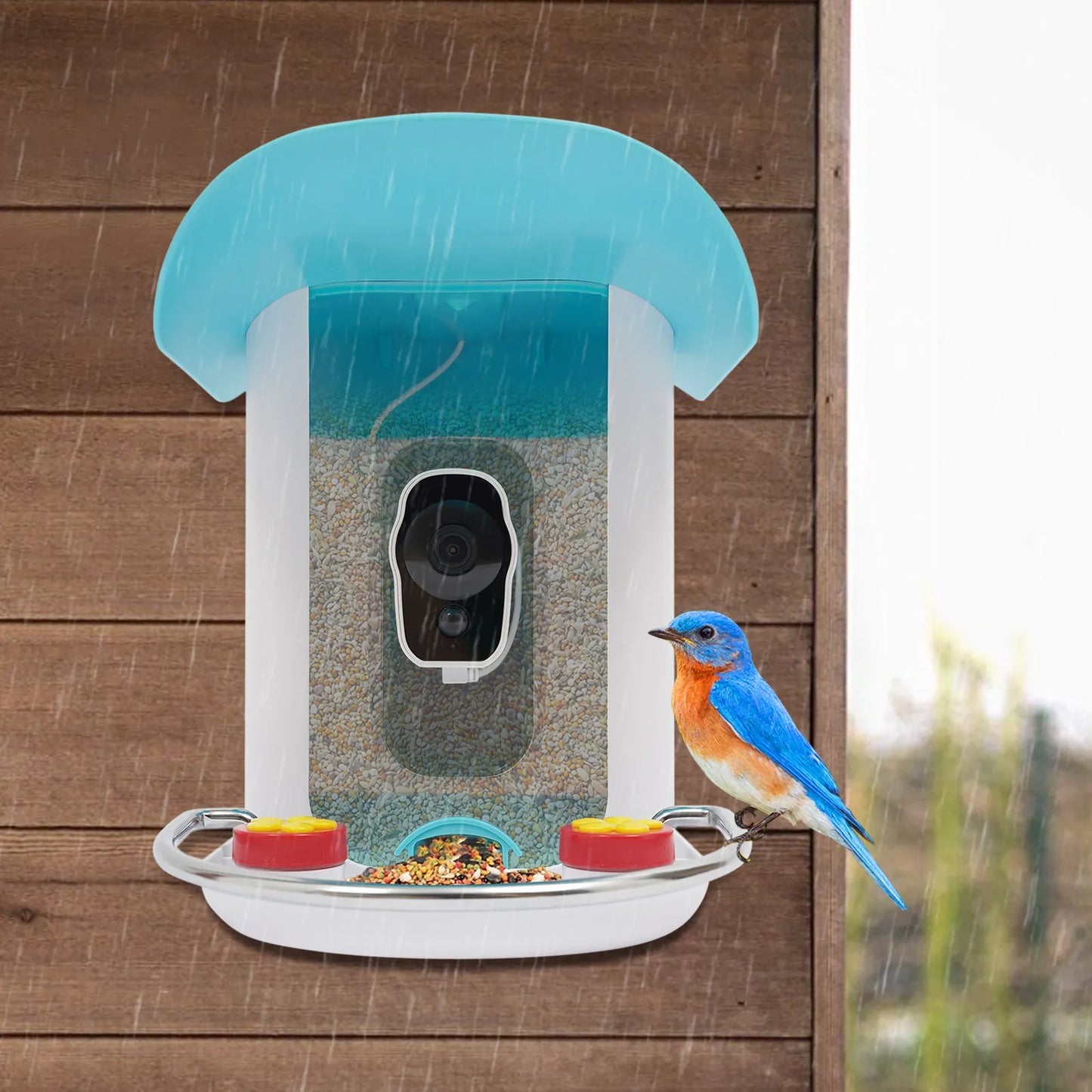 Smart Bird Feeder With Camera Auto Capture Solar Panel