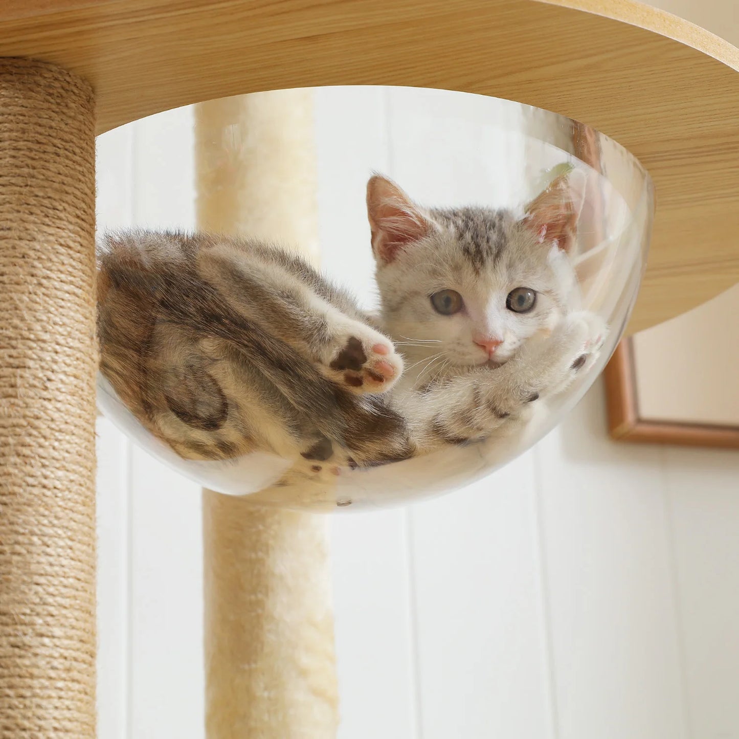 PAWZ Road Multi Level Cat Tree Indoor Tower