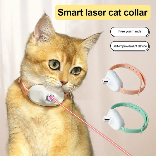 USB Rechargeable Interactive Kitten Collar for Indoor Cats