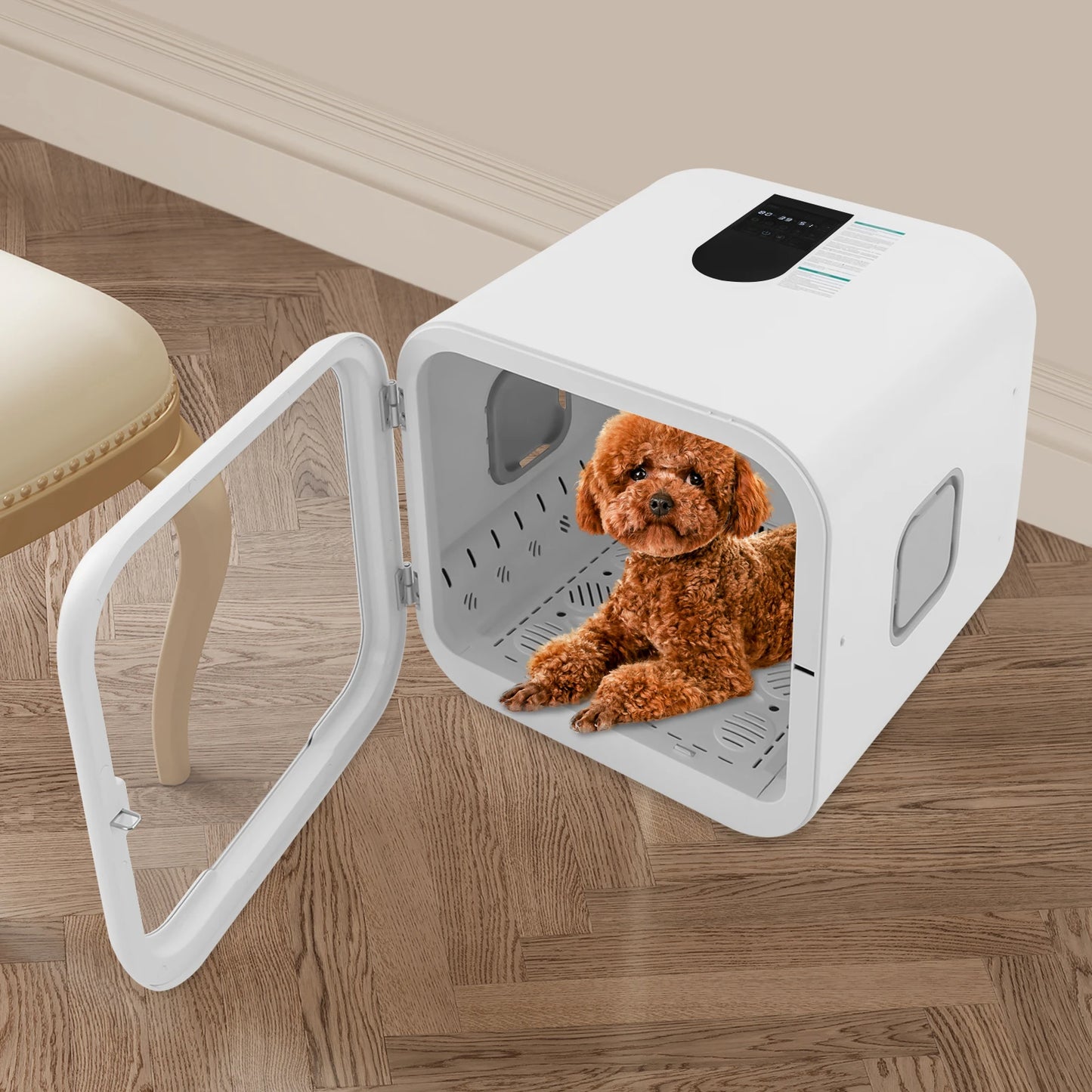 Pet Dryer Box 800W For Grooming And Sanitizing Cats