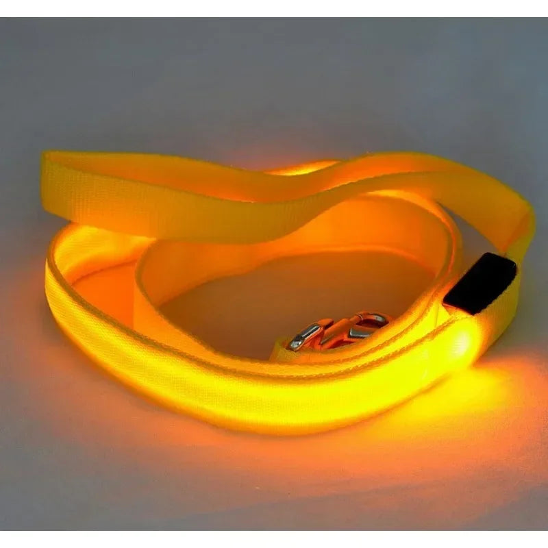 Luminous LED Dog Leash Harness for Safe Night Walks