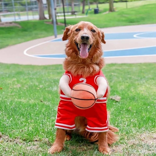Dog Basketball Player Costume Funny Dress Up Sports Outfit with Ball Dog Basketball Costume for Halloween Christmas