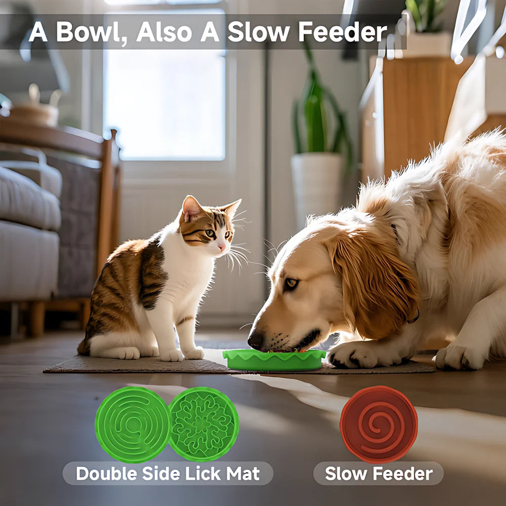 Hign-concerned Five in One Pet Bowls Set Tilted Elevated