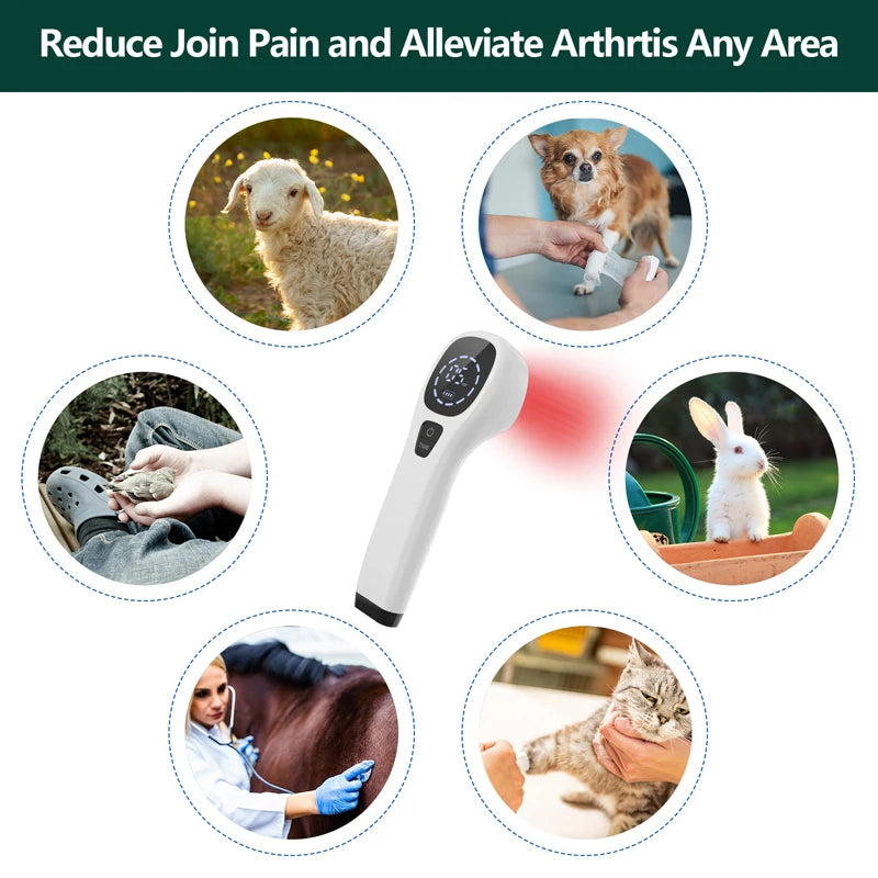 Dog 808nm Laser Therapy Device Red Light For Pain Relief