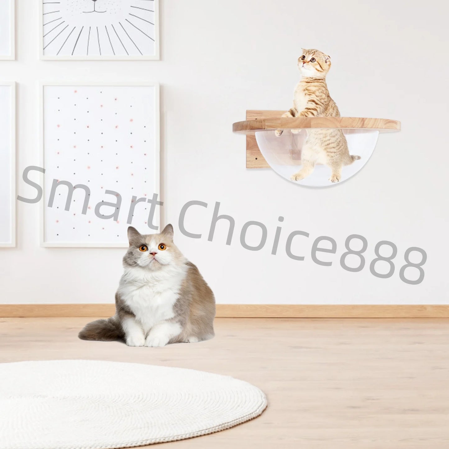 Transparent Cat Space Capsule Bed for Small Pets