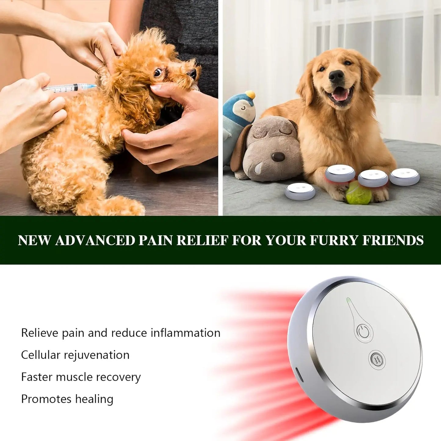 Portable Red Light Therapy Device For Pets Wavelengths 660nm And 810nm