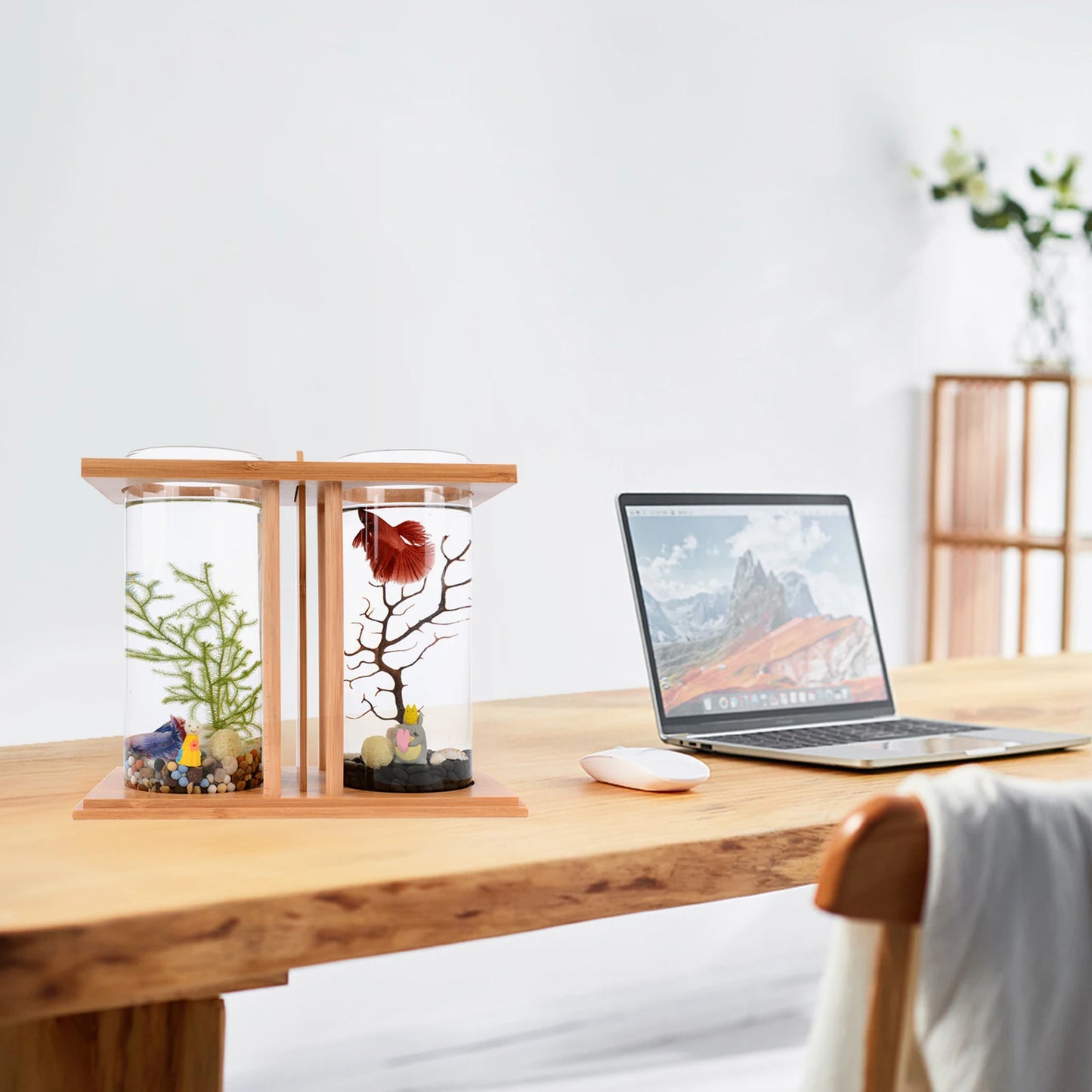 Creative Mini Fish Tank With Bamboo Wood And Dual Glass