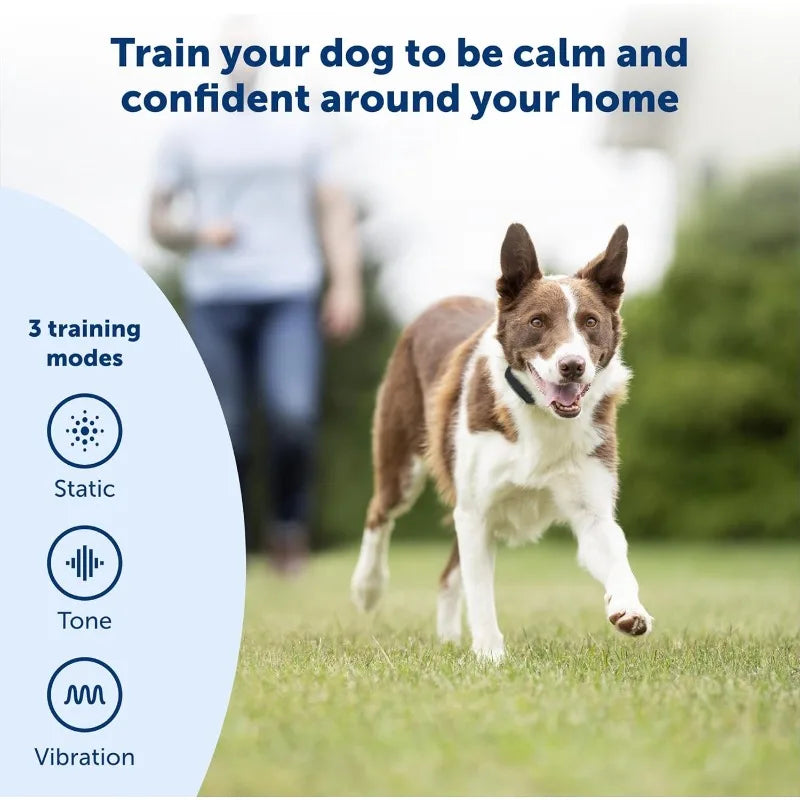 PetSafe Remote Trainer Dog Collar With 3 Training Modes