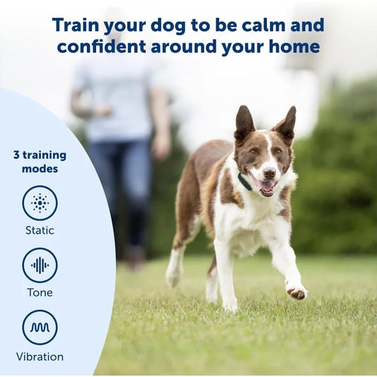 PetSafe Remote Trainer Dog Collar With 3 Training Modes