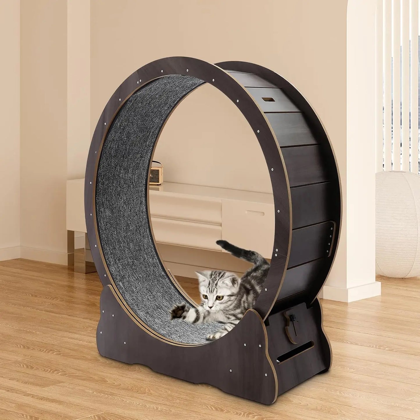 Indoor Cat Exercise Wheel with Toys for Active Play