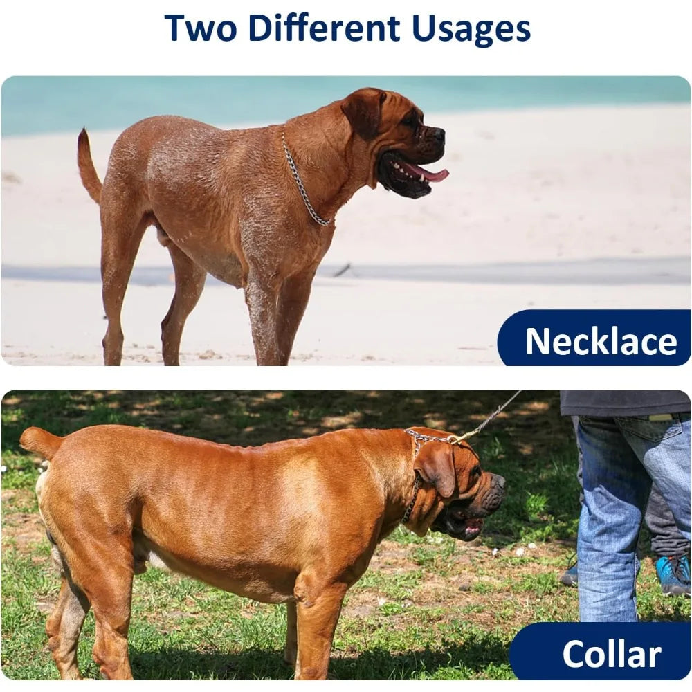 Dog Chain Collar, Metal Slip Collar, Heavy Duty Choke Collar, for Training, Control, Durable Steel Cuban Links, Avail, Gold, S
