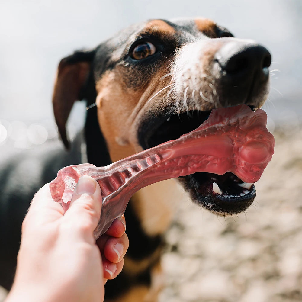 Masbrill Indestructible Bone Toy for Aggressive Chewers