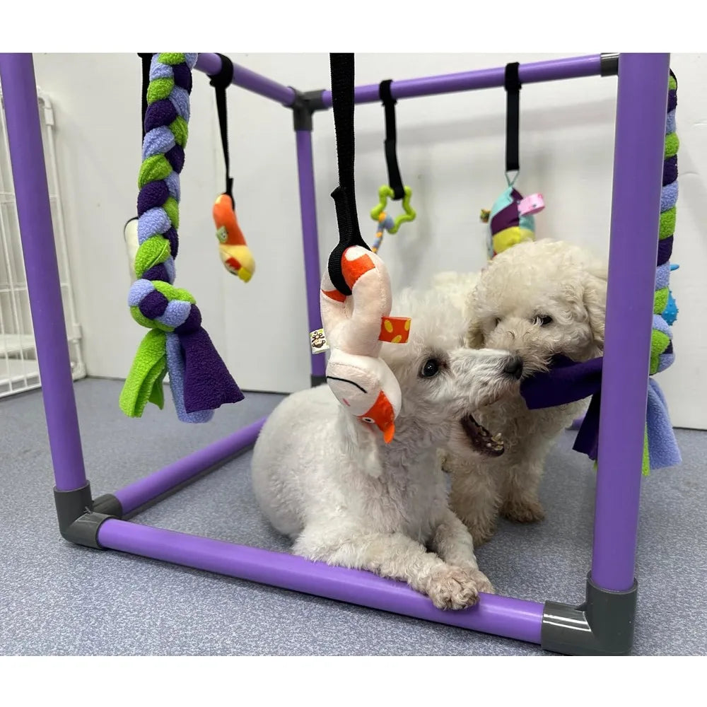 Hign-concerned Puppy Play Gym for Small Dogs with 8 Toys
