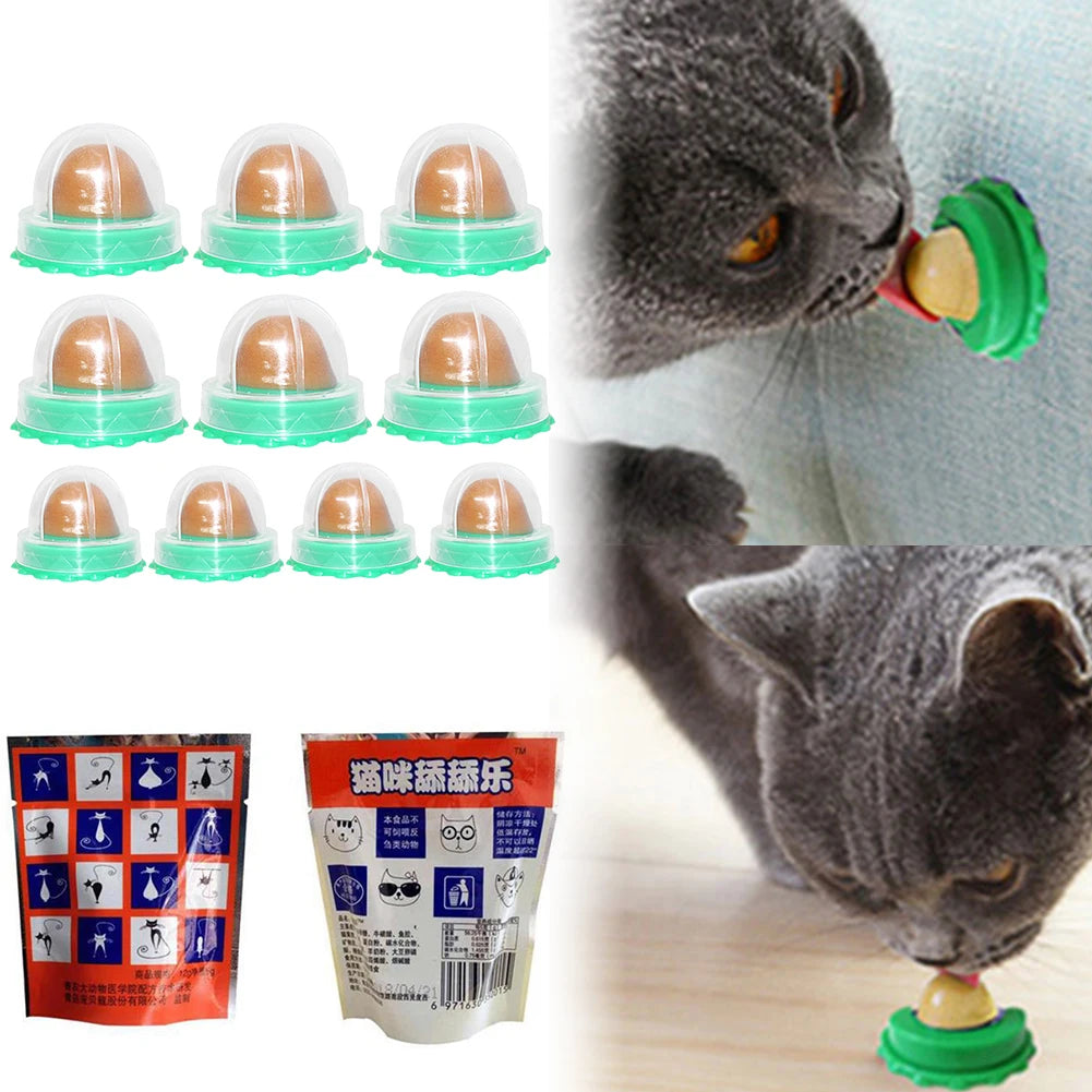 Catnip Wall Ball Treats for Cats Healthy Digestion 5 Pcs