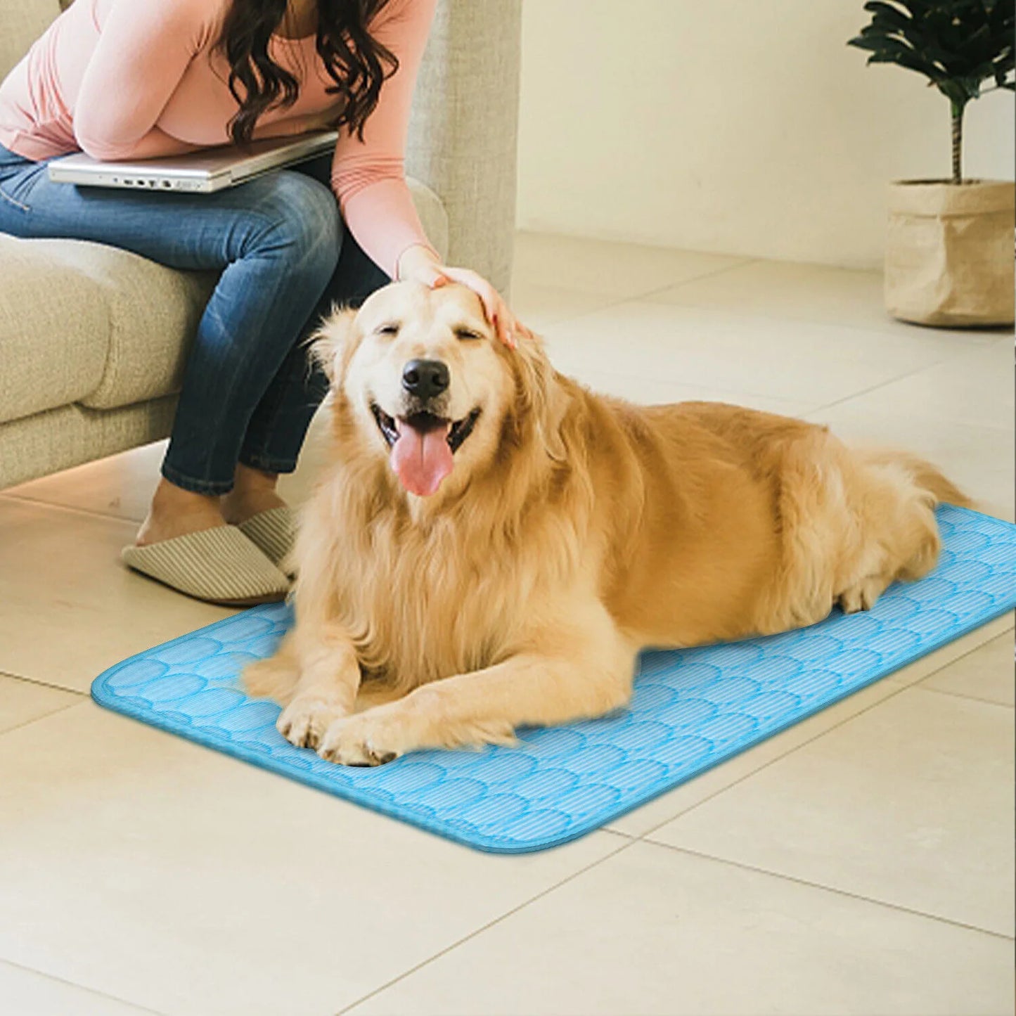 Zhejiang Pet Cooling Mat For Dogs And Cats Summer Bed Cushion