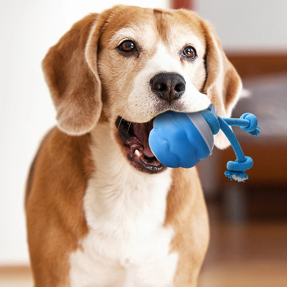 High Concerned Interactive Dog Ball Auto Bouncing USB Toy
