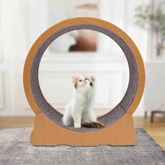 Indoor Cat Exercise Wheel with Toys for Active Play