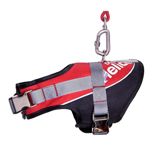 Premium Adjustable Dog Harness and Leash 2-in-1 Set