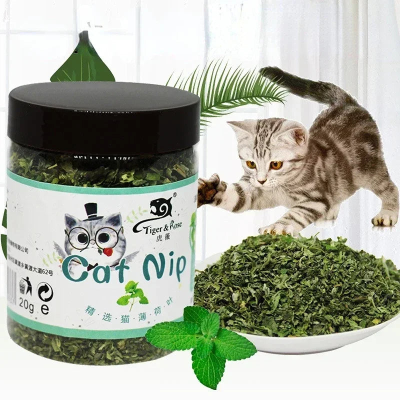 Organic Catnip Cat Grass Mint Taste Interactive Cat Toy