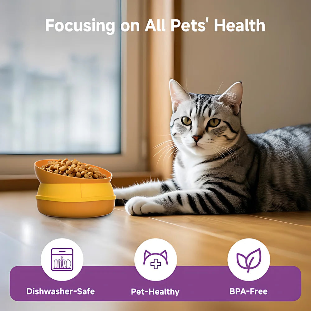 Hign-concerned Five in One Pet Bowls Set Tilted Elevated