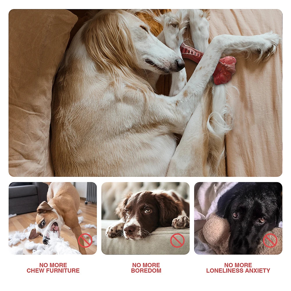 Masbrill Indestructible Bone Toy for Aggressive Chewers
