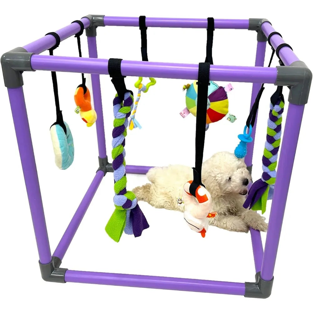 Hign-concerned Puppy Play Gym for Small Dogs with 8 Toys