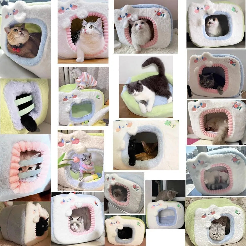 haunted witch hat hideaway halloween pet bed