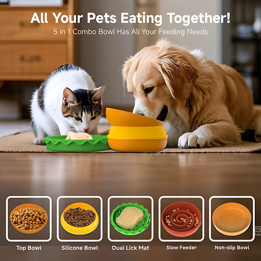 Hign-concerned Five in One Pet Bowls Set Tilted Elevated
