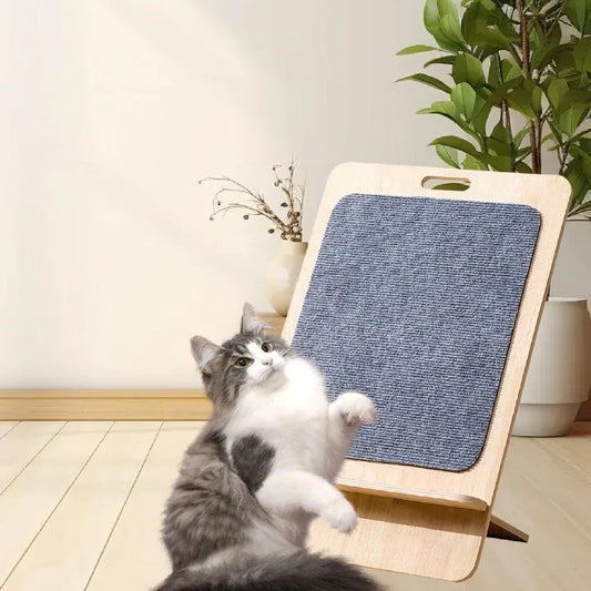 Interactive Cat Scratching Board Toy for Indoor Cats