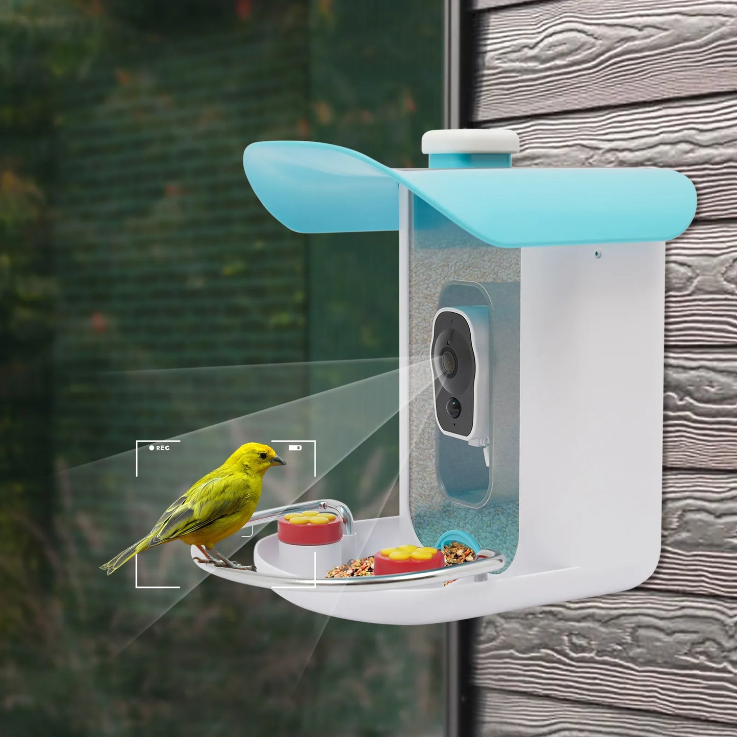 Smart Bird Feeder With Camera Auto Capture Solar Panel