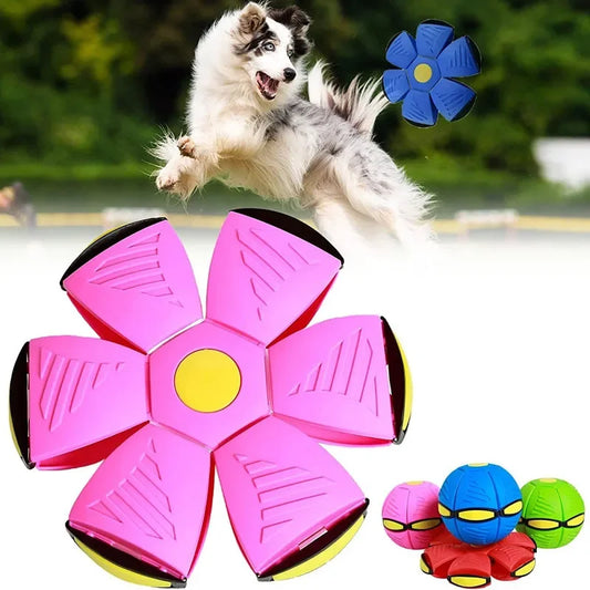 Hign-concerned UFO Flying Saucer Ball Dog Toy