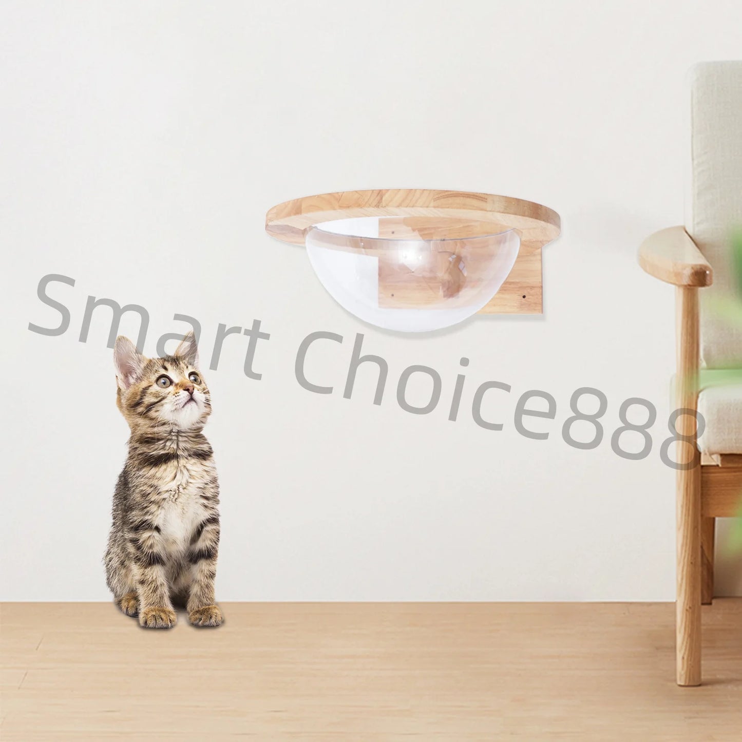 Transparent Cat Space Capsule Bed for Small Pets