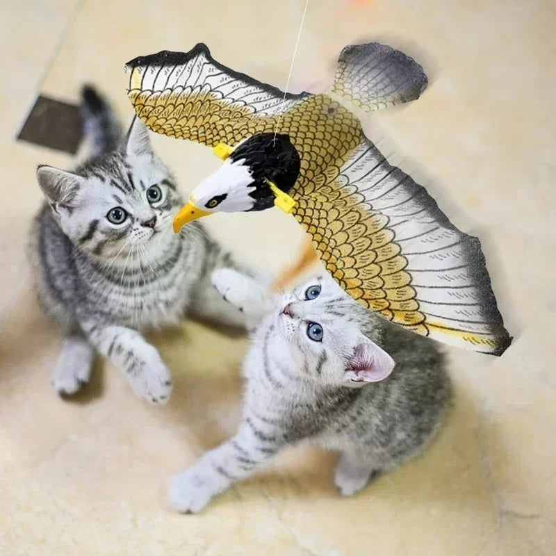 CN Jiangsu Zhejiang Interactive Simulation Bird Cat Toy Hanging Eagle