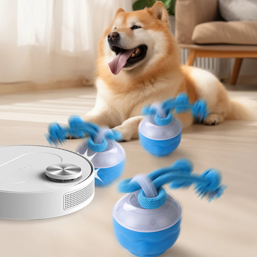 High Concerned Interactive Dog Ball Auto Bouncing USB Toy