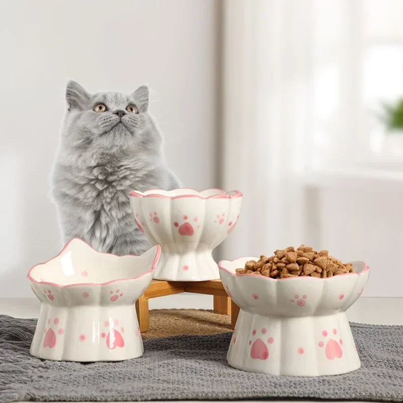 Elevated Ceramic Bowl Set for Dogs and Cats Feeding