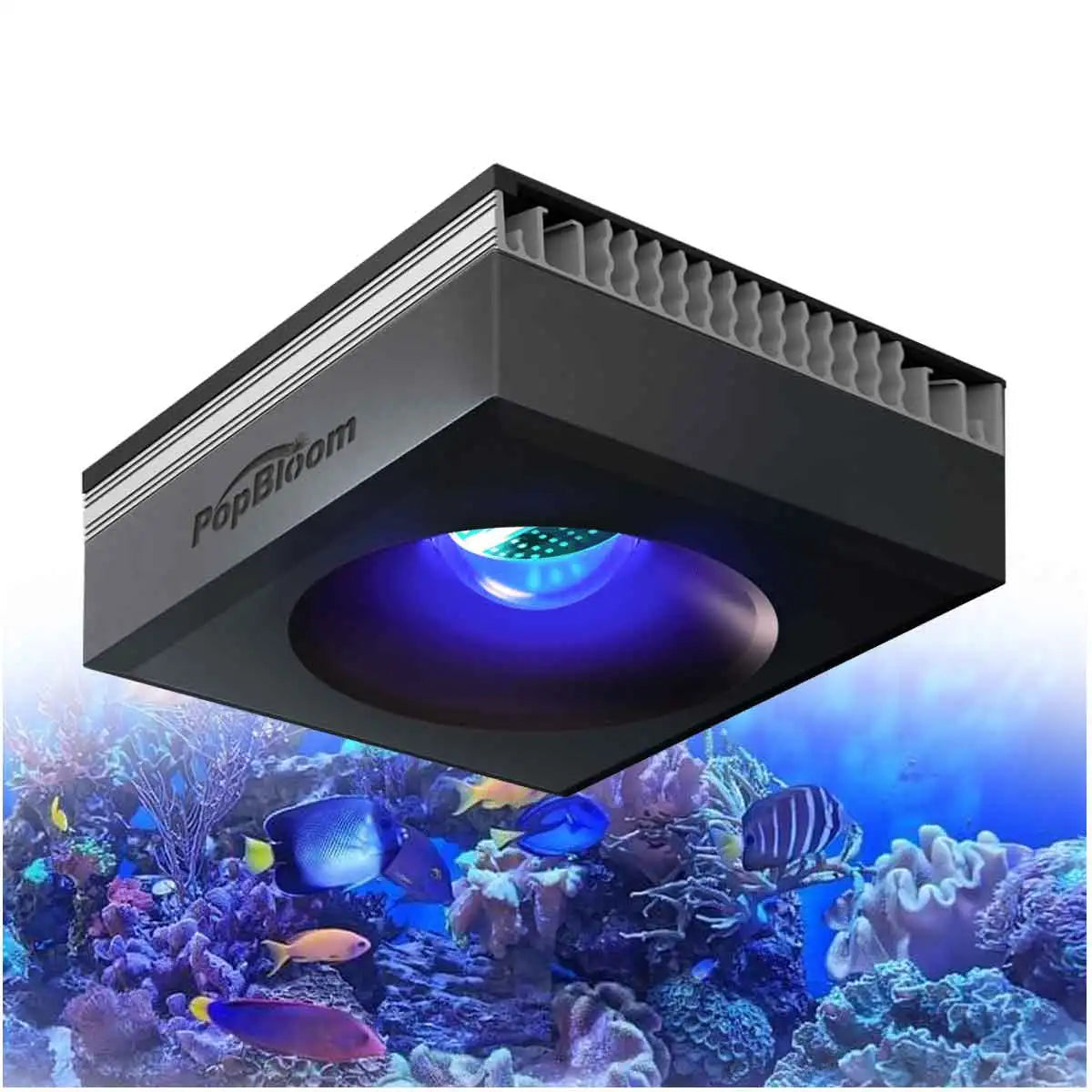 PopBloom RL90 WiFi Reef Aquarium Light 100W Full Spectrum LED