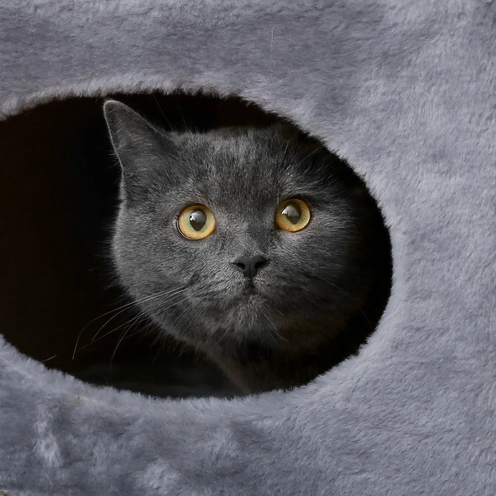 Two Story Cat Condo Scratching Tree With Multiple Entrances