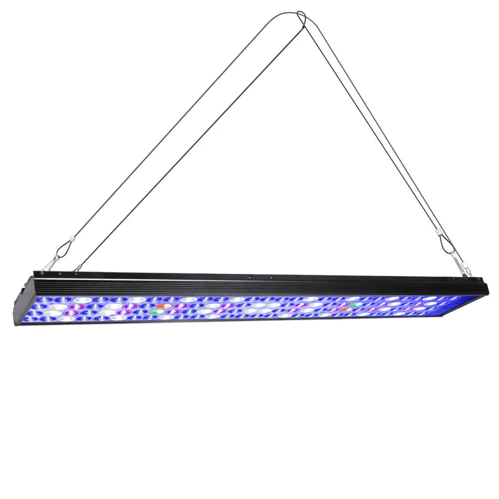 PopBloom Full Spectrum LED Lighting For Reef Aquariums