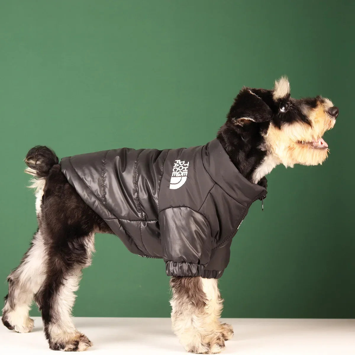 Wangupet Winter Dog Coat Reflective Windproof Jacket For Dogs