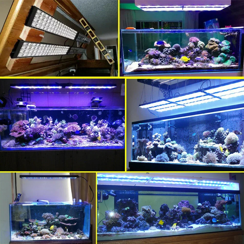 PopBloom WiFi Reef Aquarium LED Light For Coral Tanks