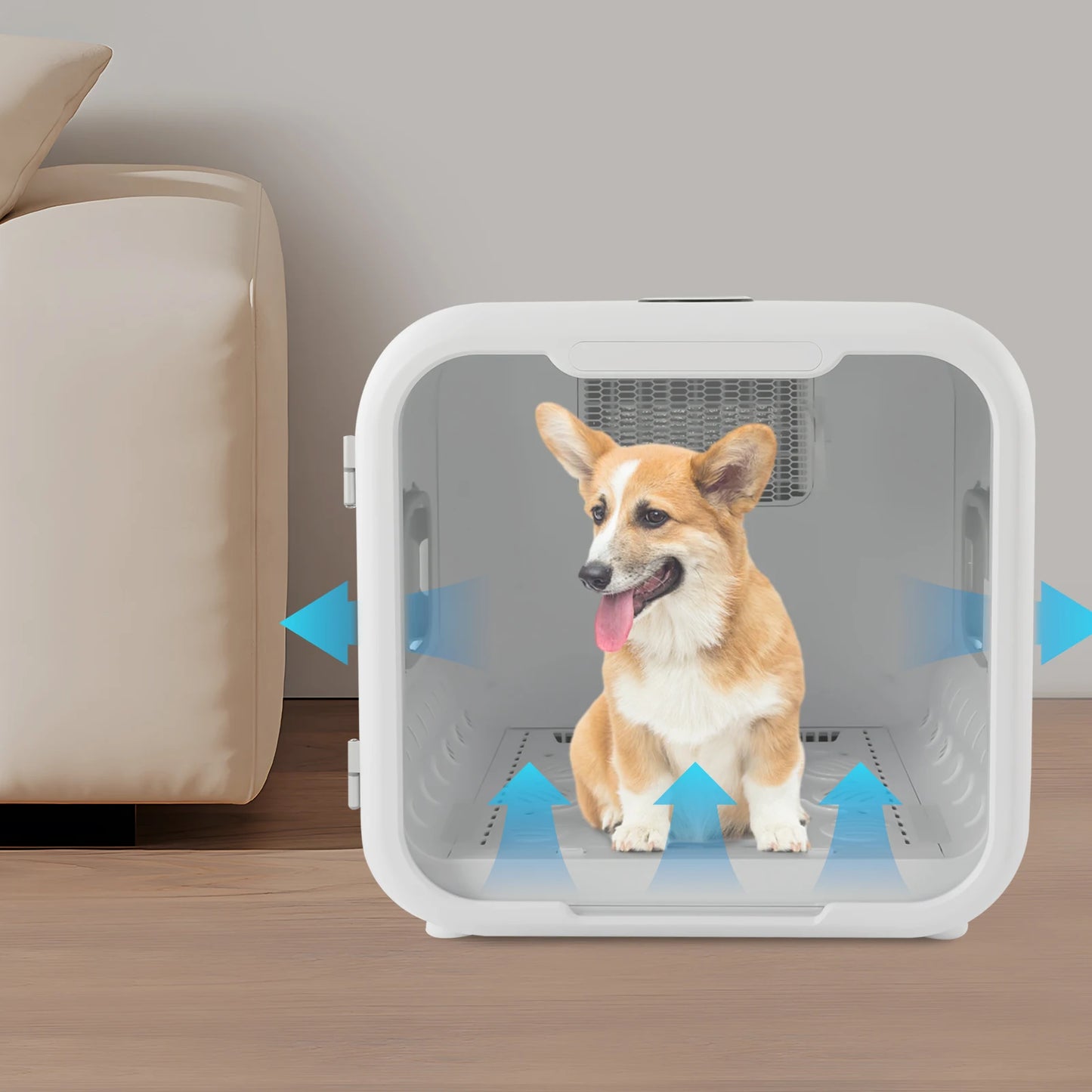 Pet Dryer Box 800W For Grooming And Sanitizing Cats